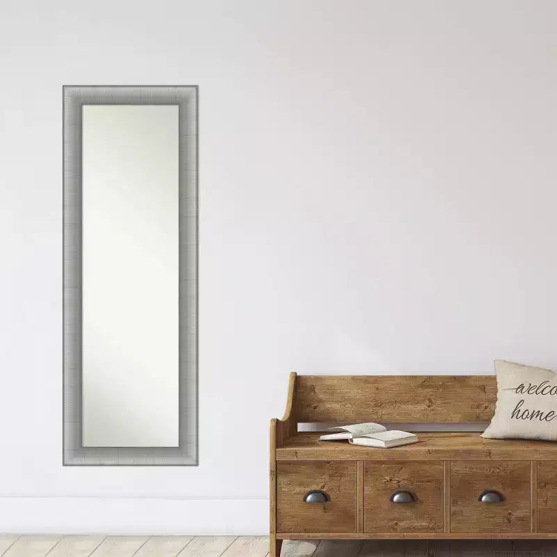 19" x 53" Non-Beveled Elegant Brushed Pewter Full Length on The Door Mirror - Amanti Art