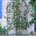 Trellis de jardin pour plantes grimpantes, 180 x 50 cm, lot de 2 treillis de jardin métalliques antirouille pour fleurs, treillis extérieur pour rosiers grimpants et concombres