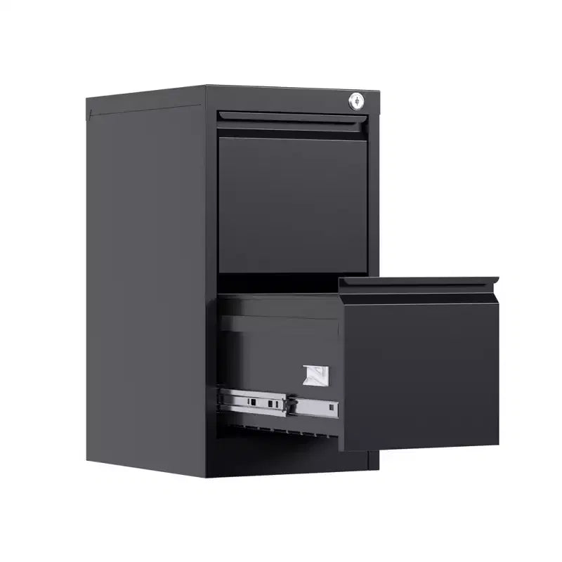 COZONY Vertical File Cabinet with Lock, 2-Drawer Metal Storage for Letter and Legal Documents