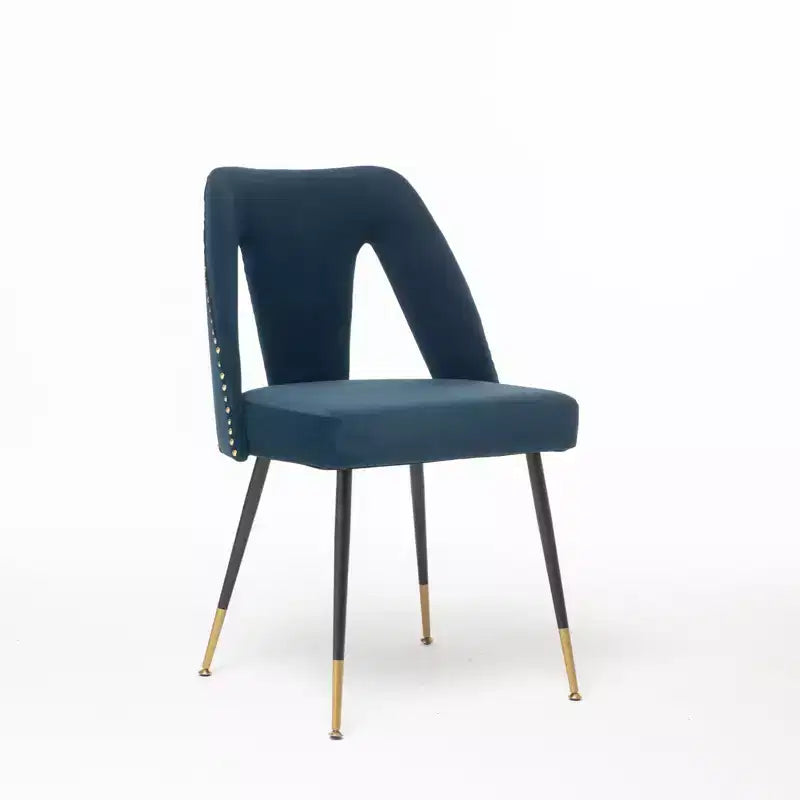 TUYOHW Contemporary Dining Chairs Set of 2,Sleek Dining Room Side Chairs,Chic Accent Chairs with Nailhead Trim Back for Kitchen,Home Decor