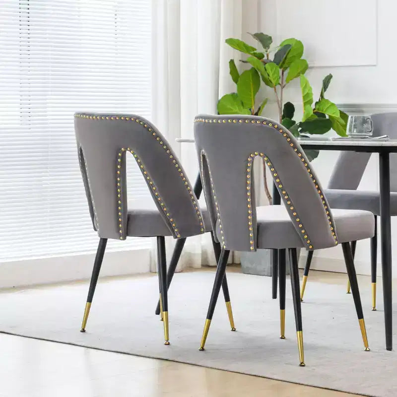 TUYOHW Contemporary Dining Chairs Set of 2,Sleek Dining Room Side Chairs,Chic Accent Chairs with Nailhead Trim Back for Kitchen,Home Decor