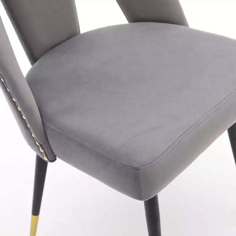 TUYOHW Contemporary Dining Chairs Set of 2,Sleek Dining Room Side Chairs,Chic Accent Chairs with Nailhead Trim Back for Kitchen,Home Decor