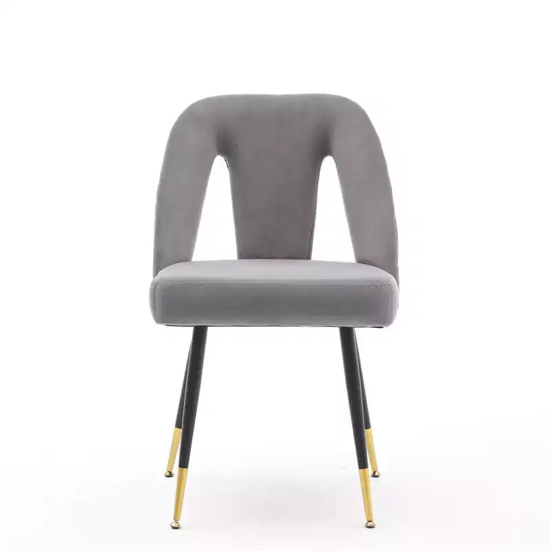 TUYOHW Contemporary Dining Chairs Set of 2,Sleek Dining Room Side Chairs,Chic Accent Chairs with Nailhead Trim Back for Kitchen,Home Decor