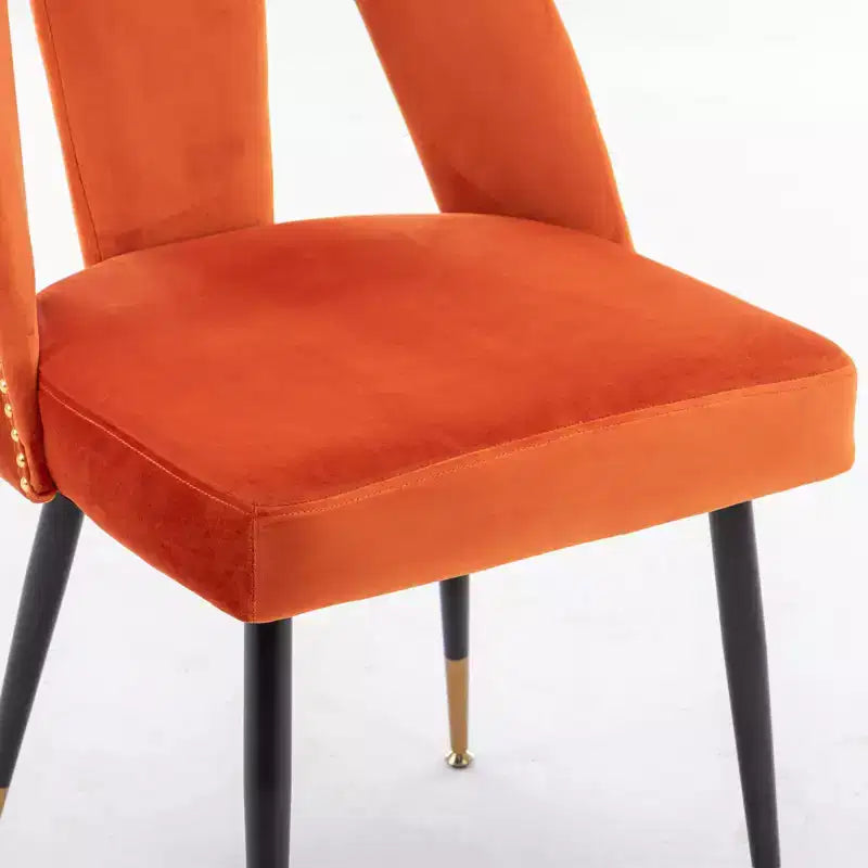 TUYOHW Contemporary Dining Chairs Set of 2,Sleek Dining Room Side Chairs,Chic Accent Chairs with Nailhead Trim Back for Kitchen,Home Decor
