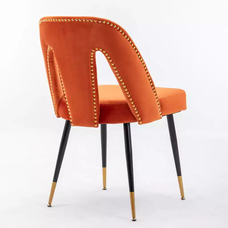 TUYOHW Contemporary Dining Chairs Set of 2,Sleek Dining Room Side Chairs,Chic Accent Chairs with Nailhead Trim Back for Kitchen,Home Decor