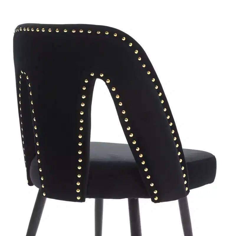 TUYOHW Contemporary Dining Chairs Set of 2,Sleek Dining Room Side Chairs,Chic Accent Chairs with Nailhead Trim Back for Kitchen,Home Decor