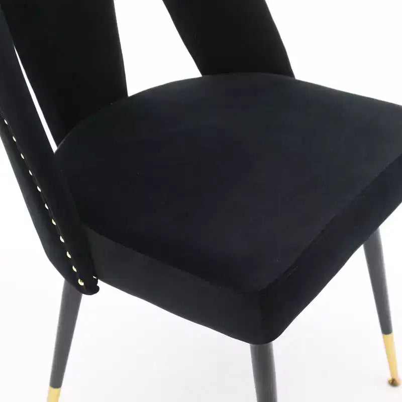 TUYOHW Contemporary Dining Chairs Set of 2,Sleek Dining Room Side Chairs,Chic Accent Chairs with Nailhead Trim Back for Kitchen,Home Decor