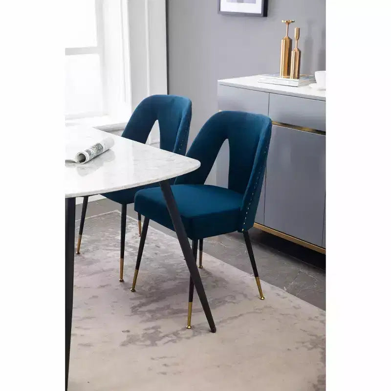 TUYOHW Contemporary Dining Chairs Set of 2,Sleek Dining Room Side Chairs,Chic Accent Chairs with Nailhead Trim Back for Kitchen,Home Decor