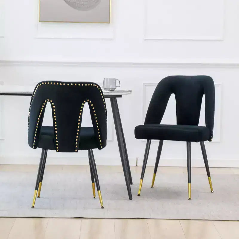TUYOHW Contemporary Dining Chairs Set of 2,Sleek Dining Room Side Chairs,Chic Accent Chairs with Nailhead Trim Back for Kitchen,Home Decor