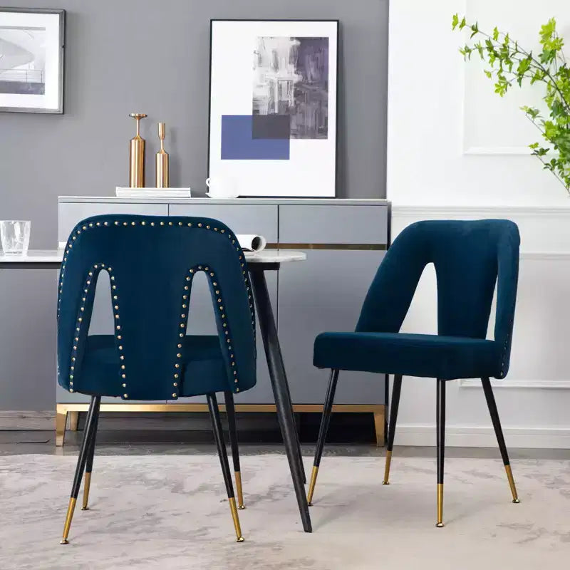 TUYOHW Contemporary Dining Chairs Set of 2,Sleek Dining Room Side Chairs,Chic Accent Chairs with Nailhead Trim Back for Kitchen,Home Decor