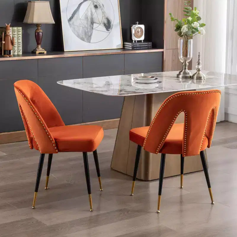 TUYOHW Contemporary Dining Chairs Set of 2,Sleek Dining Room Side Chairs,Chic Accent Chairs with Nailhead Trim Back for Kitchen,Home Decor