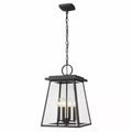 Z-Lite Broughton 4 - Light Pendant in Black